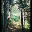 realdealbitch-blog avatar