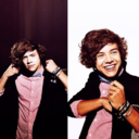 realharrystyles-blog avatar