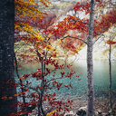 realidades-incertas avatar