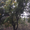 realinteresting avatar