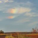 realistic-mom avatar