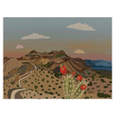 reality-of-rach avatar