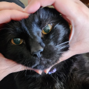 realityisaliethatswhyidream avatar