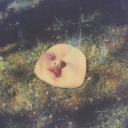 realitysaconstruct avatar