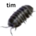 reallybigshrimps avatar