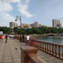 reallychiefnerd avatar