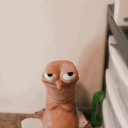 reallycreativeusername avatar