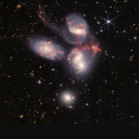 reallymyprince avatar