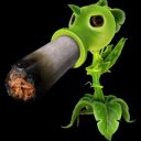 reallysteadylady avatar