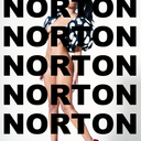 realnorton avatar