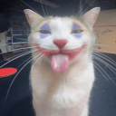 realotaku1212 avatar