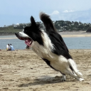 realredbanana avatar