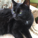 realsunrise avatar