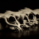 realworldballerina avatar