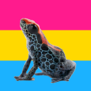 realyfroggyfrog avatar