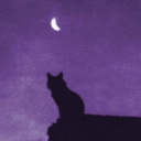 reaperviolets avatar