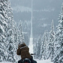 reason-0f-my-life avatar