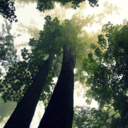 reasons-to-live473 avatar