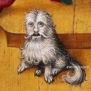 rebeccaansardi avatar