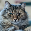 rebeccagoesblogging avatar