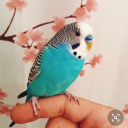 rebekahoofblog avatar