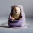 rebel-scientist24601 avatar