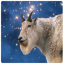 rebelgoatalliance avatar