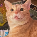 rebellionblade avatar