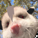 rebeltheopossum avatar