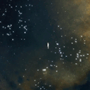 reblog-prompt-collection avatar