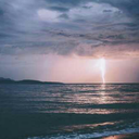 reblog-rreblog avatar