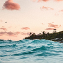 reblogs1033949 avatar