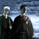 reccingdrarry-blog avatar