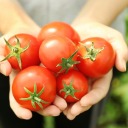 recipe-for-ecstasy avatar