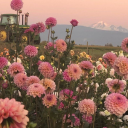 recipe-rocation avatar