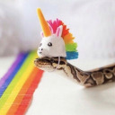 recklesslyexisting avatar