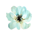 reckoninginblood avatar