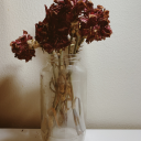 reclamationsblog avatar