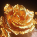 recordofragnarokfan2 avatar