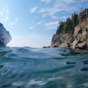 recover-and-rise avatar