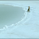 rectangle-frame avatar