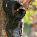 recycleandcreate avatar