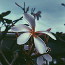 recycleyourimaginaryfriends avatar