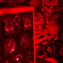 red-enthusiast avatar