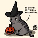 red-es-rojo-blog avatar