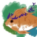 red-fish-from-a-pond avatar