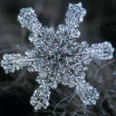 red-letter-day avatar