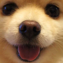 red-lover-stuff avatar