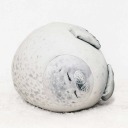 red-panda-girl6 avatar