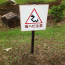 red-ranger-a-go-go avatar